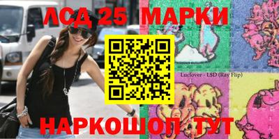 прущие грибы Заволжье