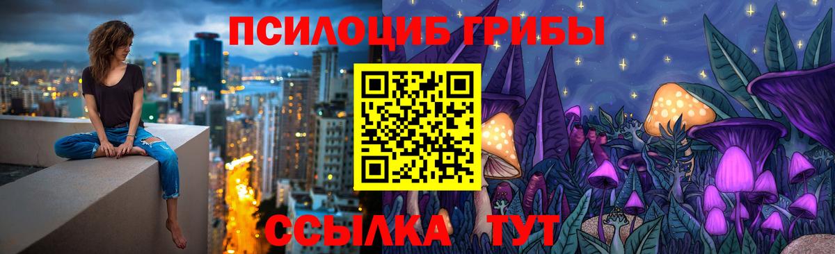 Галлюциногенные грибы Magic Shrooms Мытищи