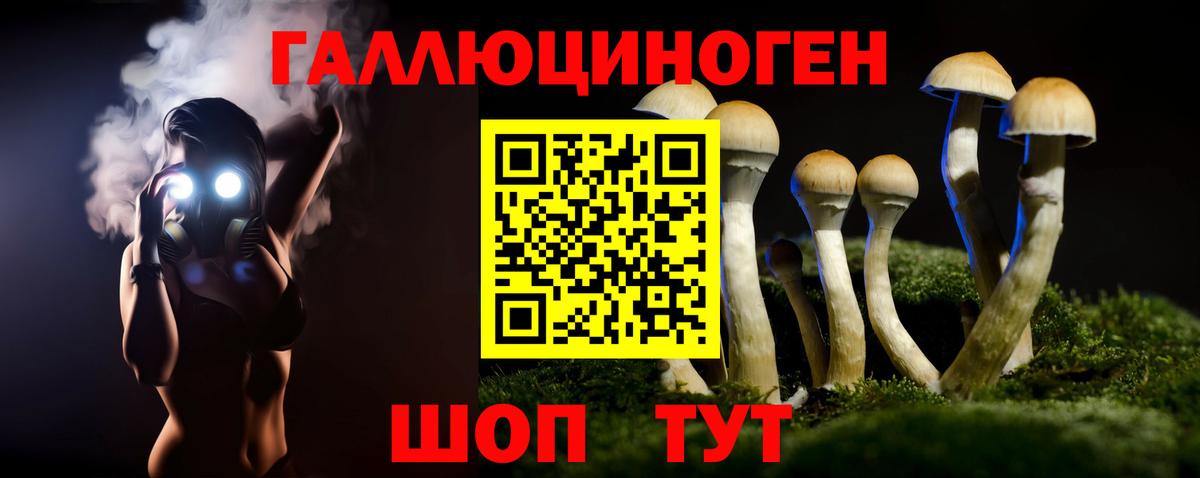 как найти закладки  Псилоцибиновые грибы Cubensis  Мытищи  Вход с VPN  Галлюциногенные грибы GOLDEN TEACHER 